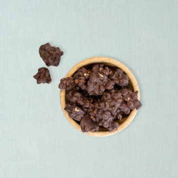 Chocolade rotsjes cookie fudge puur