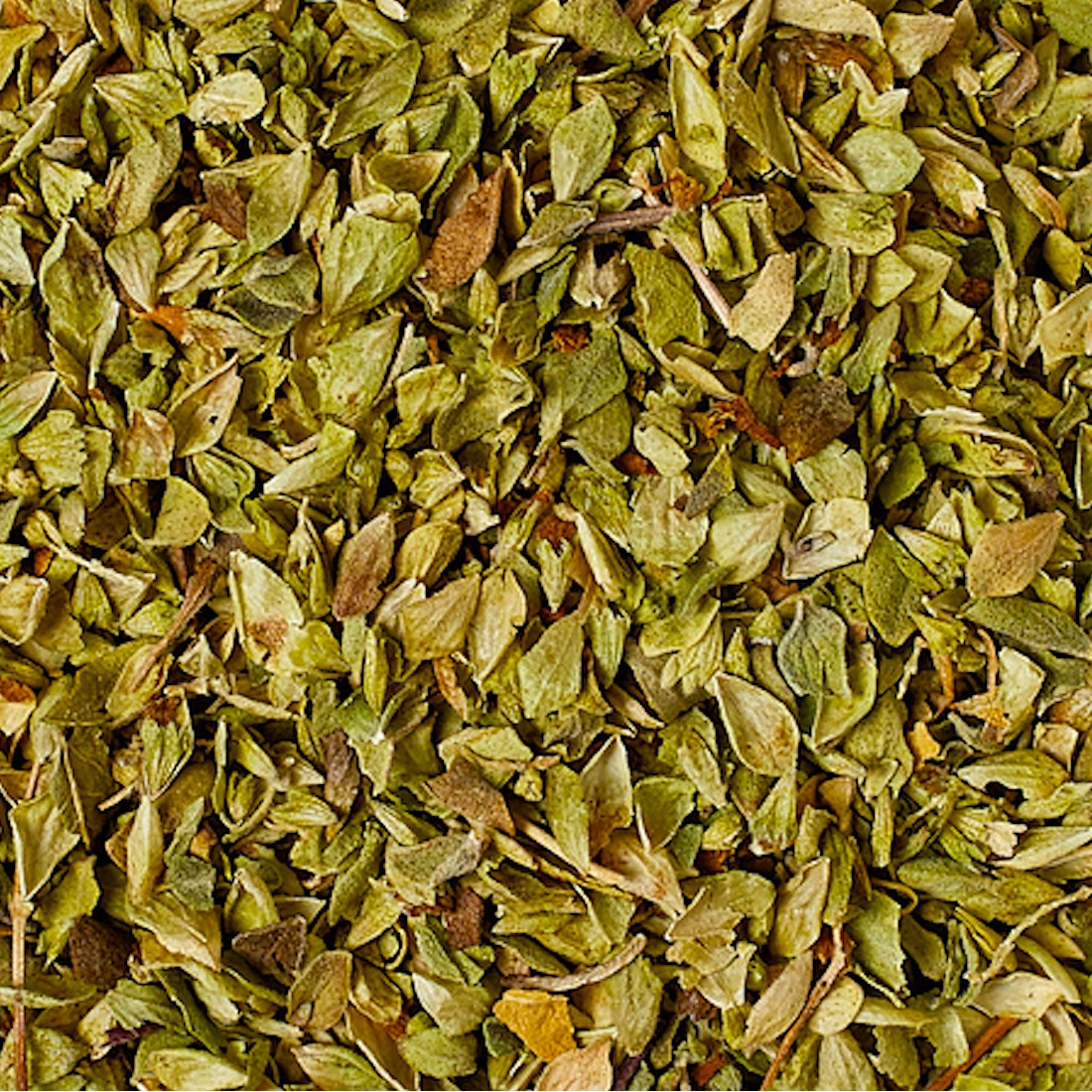 Oregano