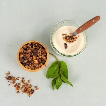 Granola chocolade cranberry